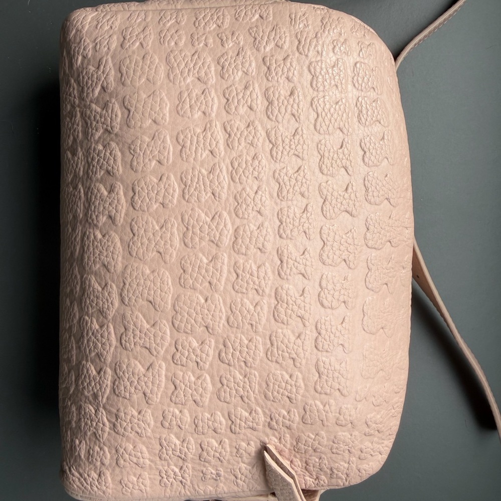 Sherton Tous Pink Crossbody Bag - Picture 5 of 15